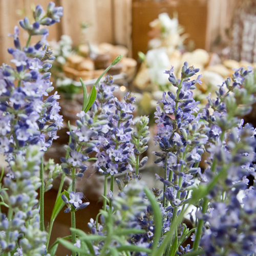 Hofcafe Volker Blumenschmuck