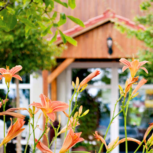 Hofcafe Volker Lilien