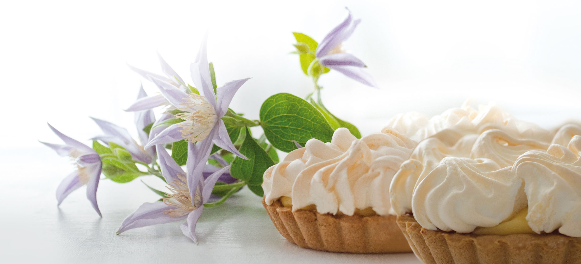 Hofcafe Volker Zitronentarte Clematis